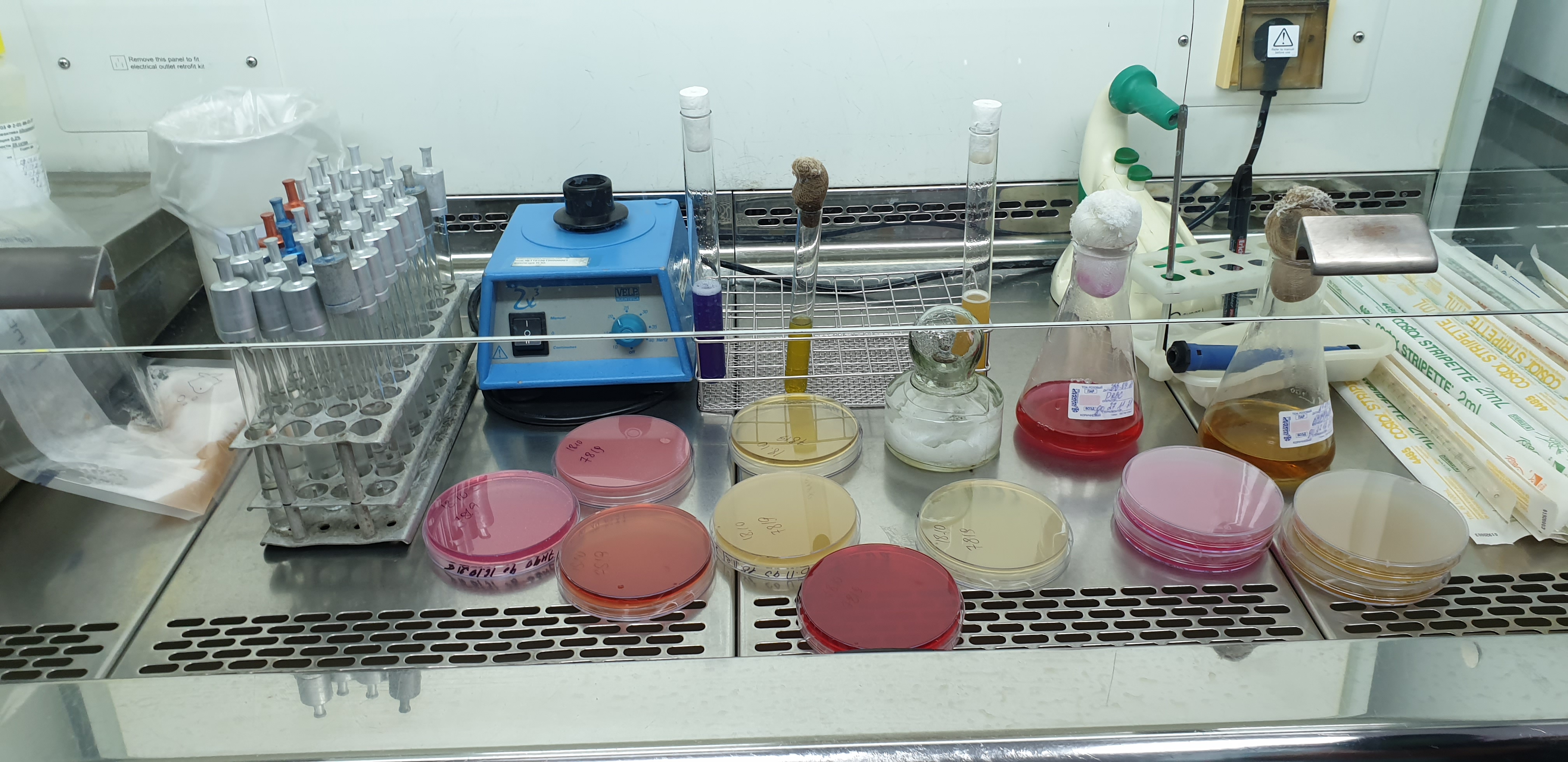 За прошедшую неделю Приморским филиалом ФГБУ «НЦБРП» проведено более 5 тысяч исследований пищевой продукции отечественного и импортного производства