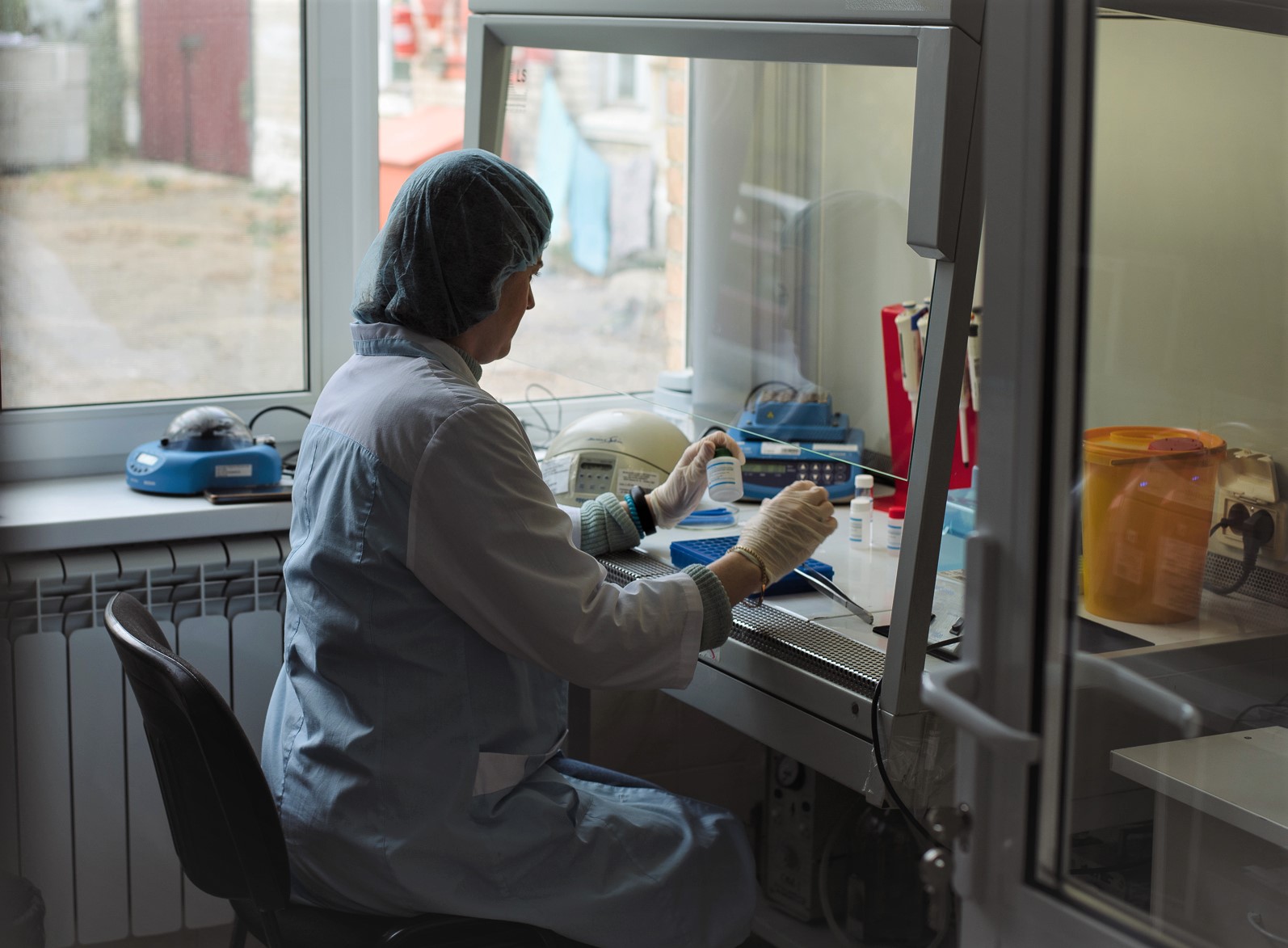  Приморским филиалом ФГБУ «НЦБРП» в партии кормового ячменя выявлены долгоносики 