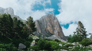 Основные сведения