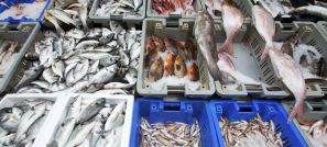 Оценка соответствия предназначенной на экспорт пищевой продукции